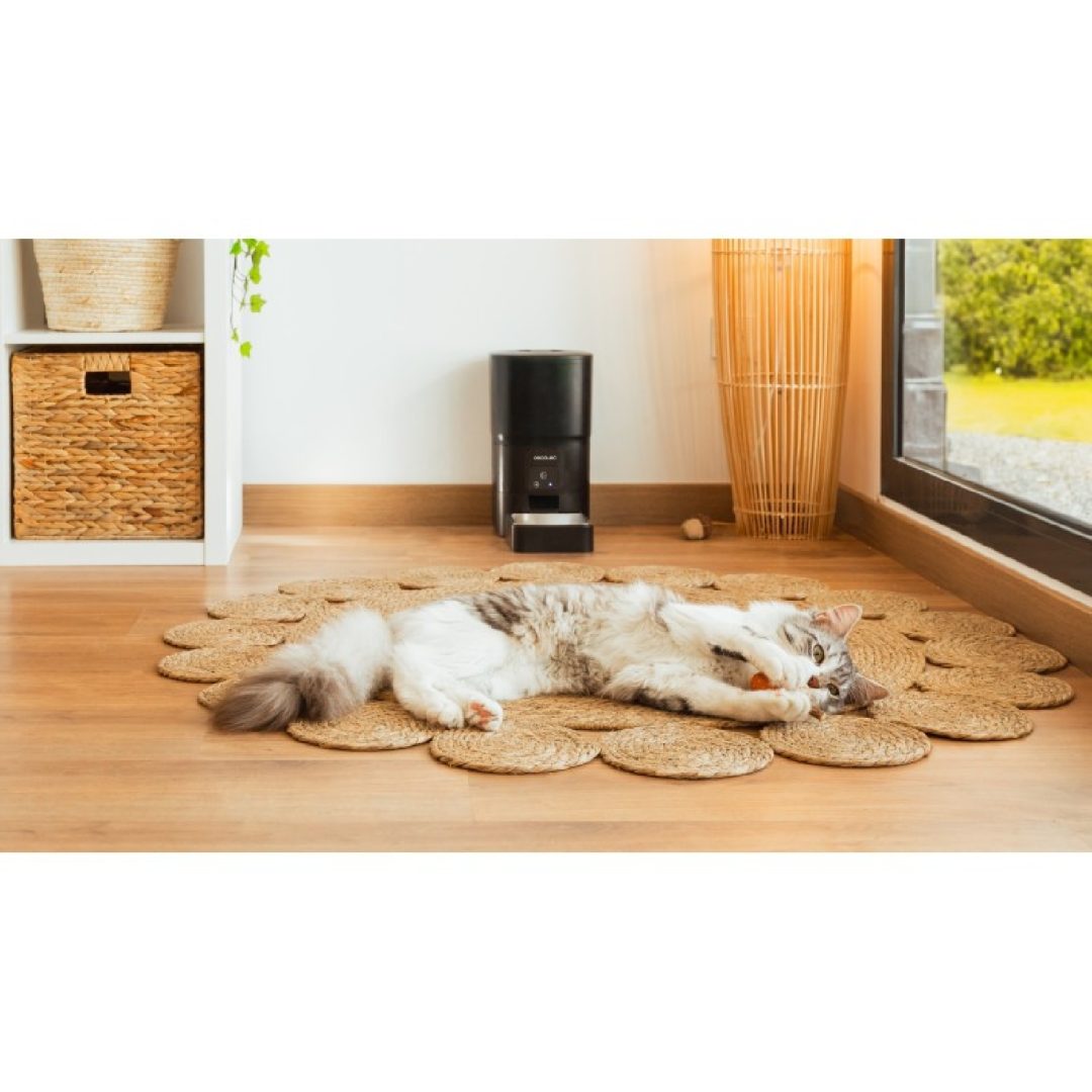 Ciotola per animali Pumba 6000 Purrfect Meal Smart