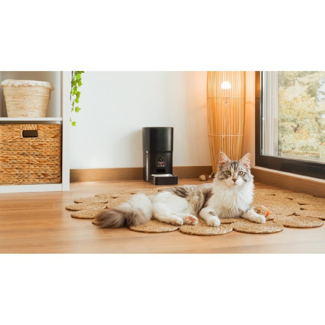 Ciotola per animali Pumba 6000 Purrfect Meal Smart Vision